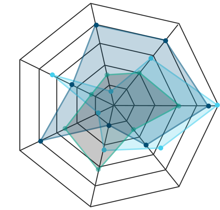 Polygon Data Visualization